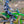 S1026 RENEN x Slayco Racepant - 