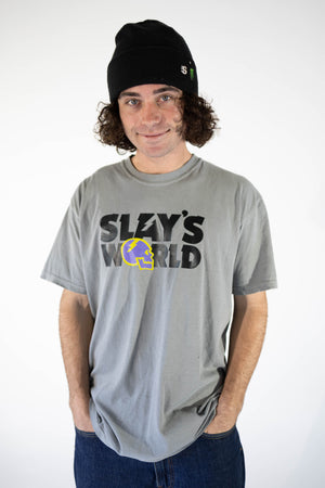 MEN'S SLAYSWORLD TEE | GREY