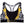 WOMEN'S SPORTS BRA | COLUMBO